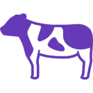 Оборудование для КРС