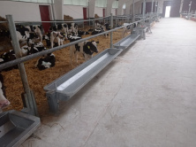 Групповая поилка 1500х500 неопрокидывающаяся