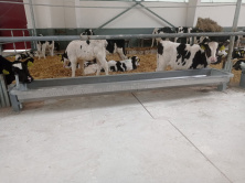 Поилка групповая для КРС 4000х400х450мм