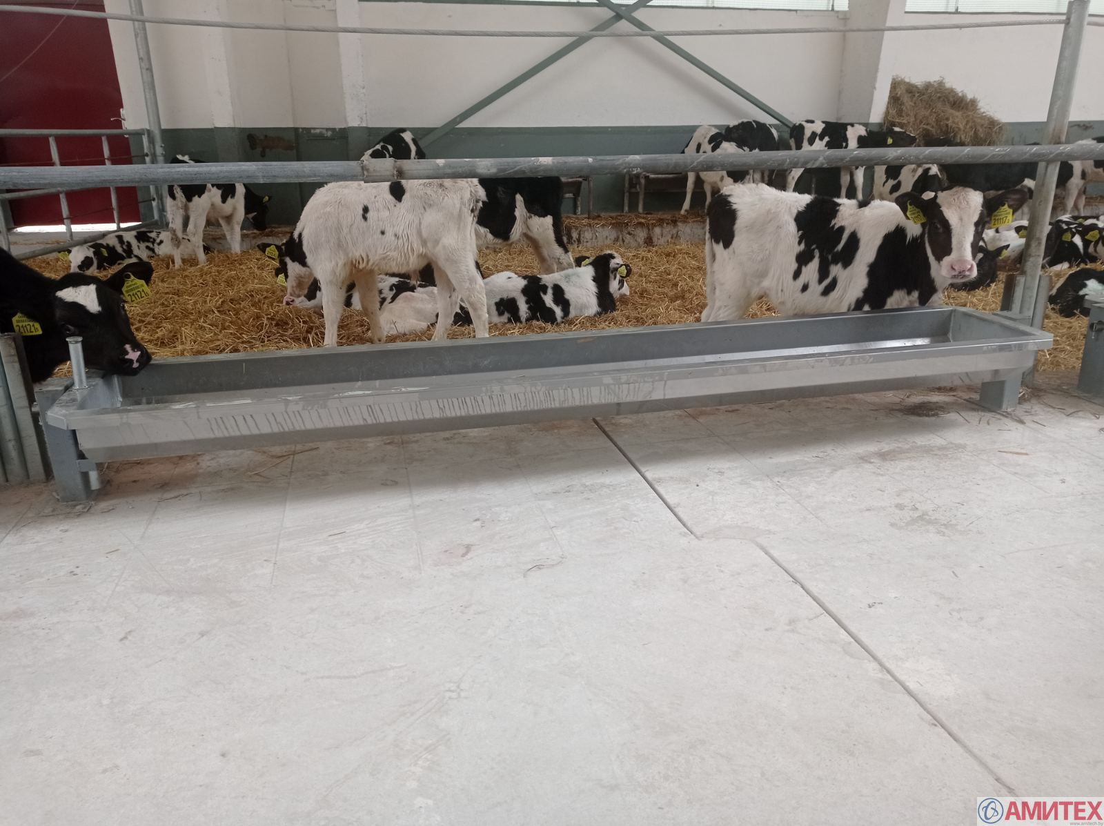 Поилка групповая для КРС 4000х400х450мм